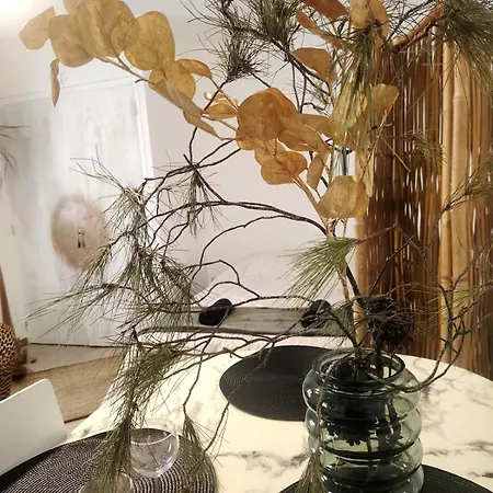 T1 Coeur De Ideal Entre Le Port Et La Gare Apartment *